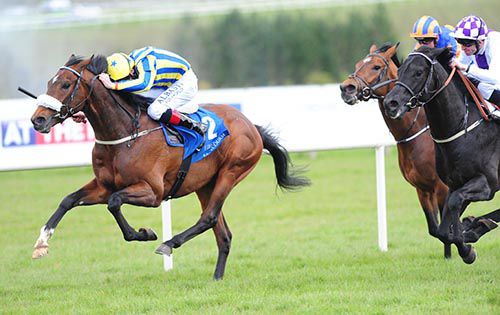 Maneen gives his all for Pat Smullen
