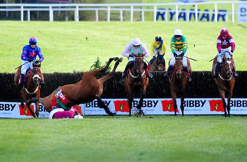 Carlingford Lough (second from right) as Road To Riches crashes out