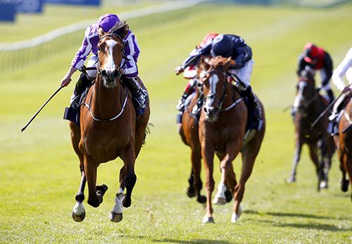 Minding, left, dominates in Newmarket
