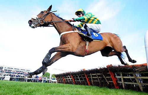 Dressedtothenines clears a hurdle on her way to victory under Mark Walsh