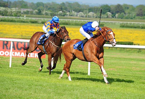 Aridity (William Buick) comes home in front from The Mouse Doctor (Ronan Whelan) at Naas