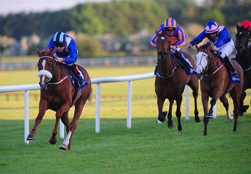 Adool races clear under Pat Smullen
