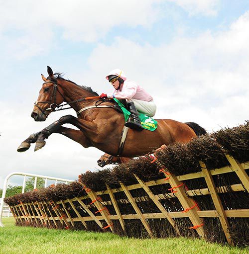 Ah Littleluck jumps a hurdle on his way to victory under Mark Flanagan