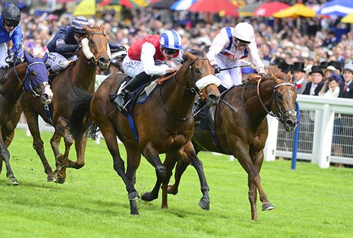 Profitable (nearside) and Cotai Glory battle it out in the 2016 King's Stand Stakes