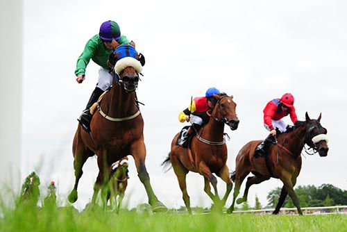 Forebear, left, wins in Down Royal
