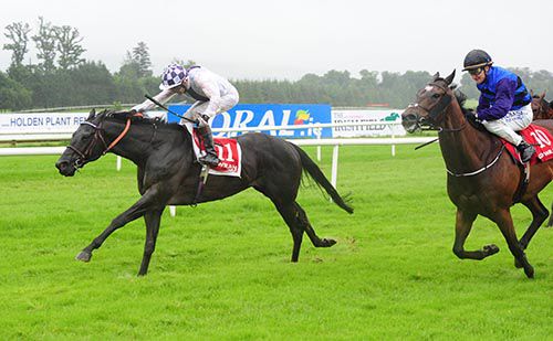 Wexford Opera, left, heads for home in Gowran Park