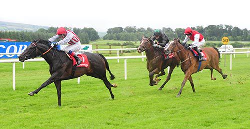 Arch Sting leads them home in Gowran