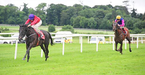 Palmones forges clear in Gowran Park