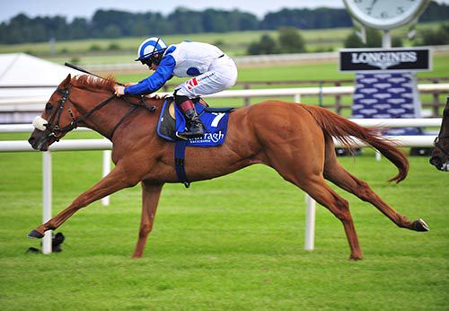 Radar O'Reilly is among eleven horses declared for the Irish Jockeys Association Handicap