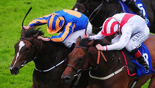 Roly Poly (left) and Seafront battle it out
