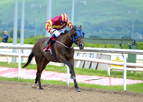 Specific Gravity in charge at Dundalk