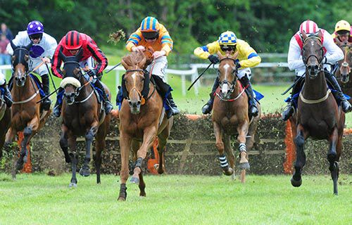 Time For Mabel (orange) is driven out by Andrew Lynch to beat Cliff House (right)