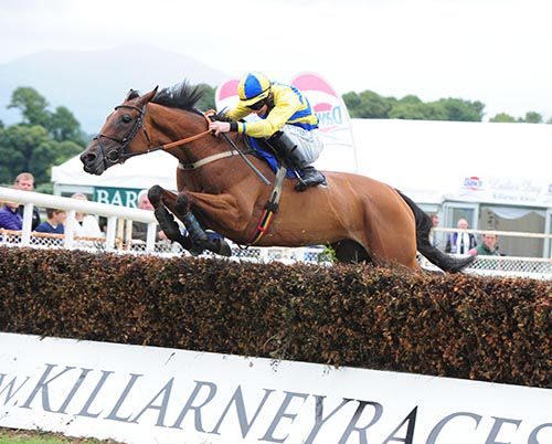 Supreme Vic pictured on her way to victory at Killarney on Thursday