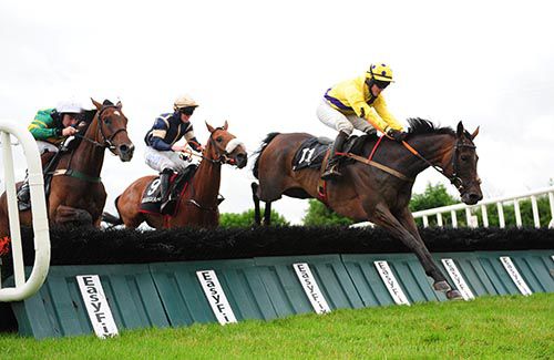 Lady Of Portlairge jumps the last under Dylan Robinson
