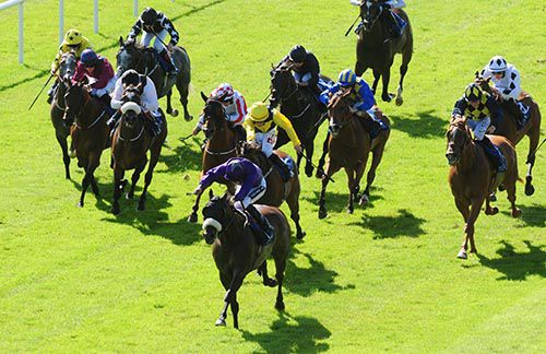 Perfect Pasture puts them to the sword in the Curragh