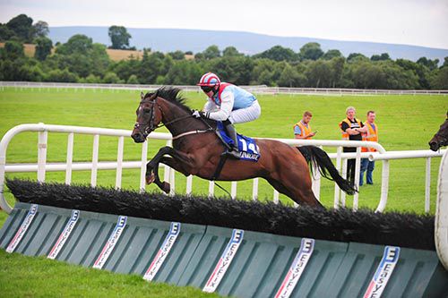 Graney Town and Niall Kelly clear the last in style