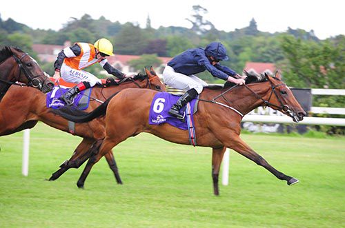 Promise To Be True is pushed out by Ryan Moore