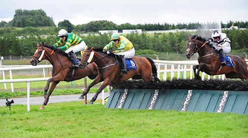 Irish Bulletin and Finian Maguire (left) are about to touch down in front at the last