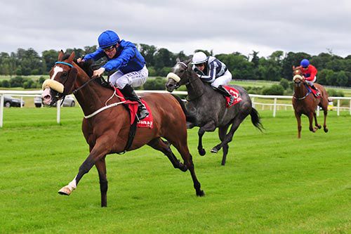 Tonkinese keeps up the gallop in Gowran Park