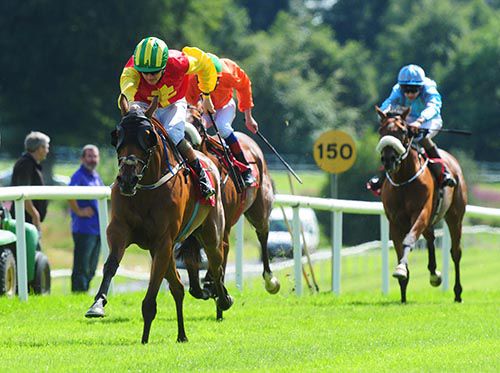 Masonbrook Lady firmly in charge at Gowran Park