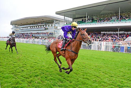 Electric Concorde sees it out best in Galway