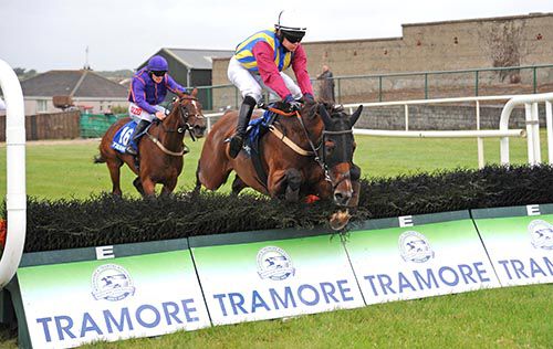 Lily Yeats and Chris Timmons lead Trendy Nurse and Jonathan Burke home