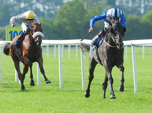 Almanaara and Pat Smullen kick clear in Tipperary