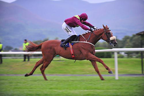 Copernicus and Nina Carberry race to victory in the Killarney finale
