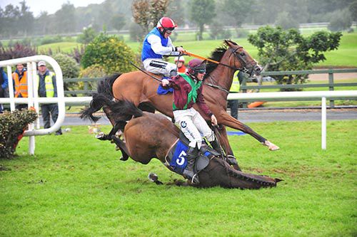 Master Appeal and Andrew Lynch crash out at the last as Sea Light goes on to score under Phillip Enright