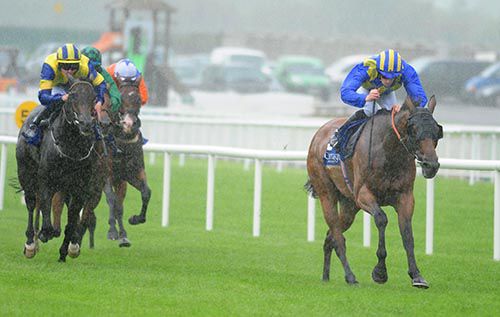 An Saighdiur is ridden out by Billy Lee