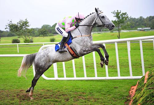 Ballycasey and Ruby Walsh take off at a fence