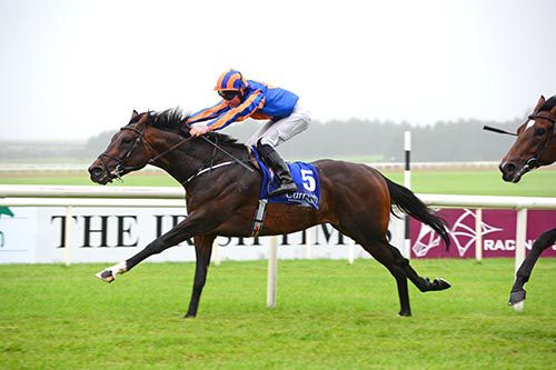 Big Ben forges on in the Curragh