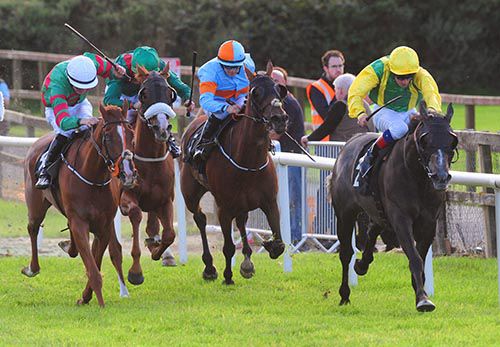 Xebec (yellow) is ridden out by Declan McDonogh to beat Hint Of Frost (white cap)