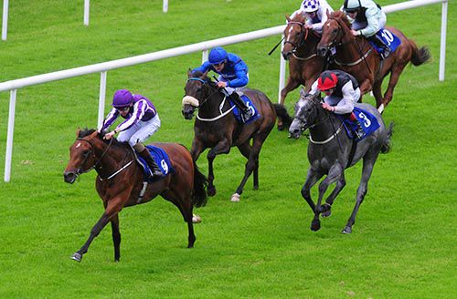 Sir Edwin Landseer leads home his rivals at the Curragh on his last start