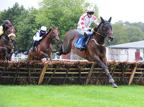 Wakea (Johnny Barry) clears a hurdle on the way to winning the maiden at Clonmel