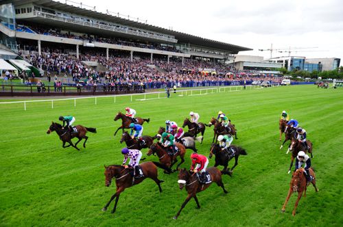 Runner race past packed stands at Leopardstown