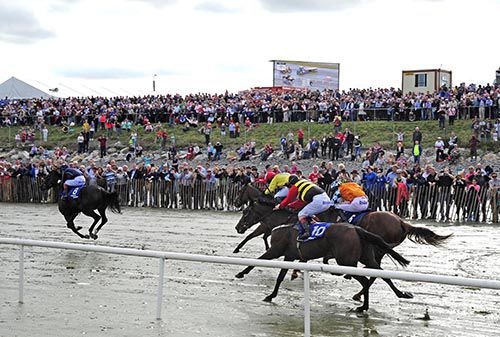 Free Running, far side, leads them home on Laytown beach