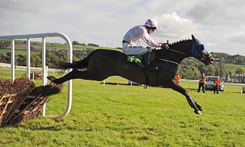 Swamp Fox and David Mullins race to victory