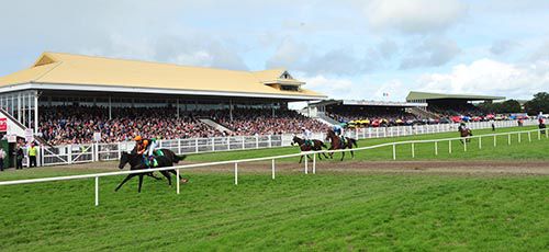 Dew Line wins in front of a huge crowd at Listowel 