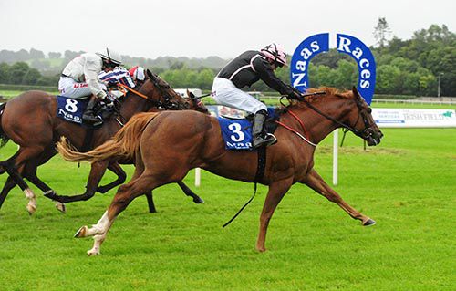 Olympic Legend and Wayne Lordan on their way to victory in the penultimate event at Naas