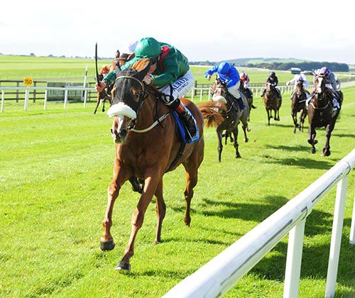 Eziyra and Pat Smullen have their Curragh Group 3 rivals beaten off