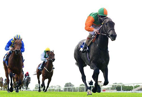 Miss Qatar, right, leads them home in Fairyhouse