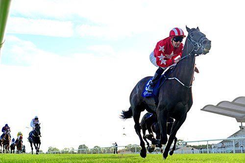 Boom Box and Colm O'Donoghue approach the line in Fairyhouse