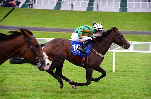 Caridadi went wide under Denis Linehan and it paid off as he landed a gamble in Limerick's 5.05