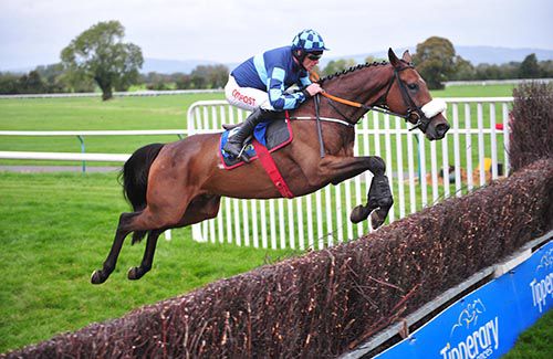 Jetstream Jack puts in a great leap at Tipperary 