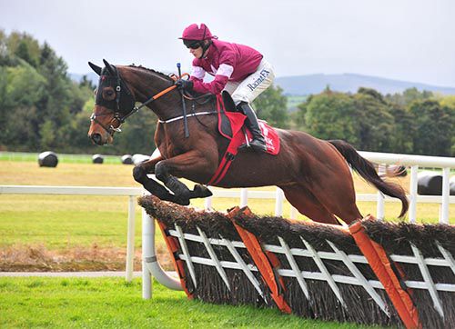 Blood Crazed Tiger pictured on his way to victory under David Mullins