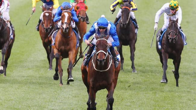 Winx leads her rivals home in the Cox Plate 