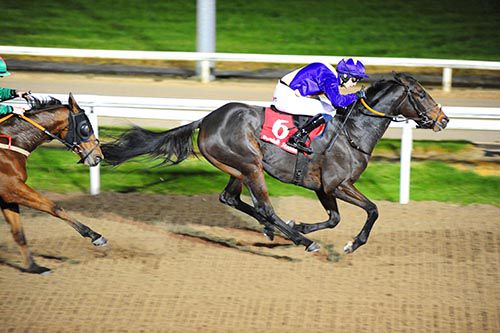 Creeping Ivy pictured on her way to victory at Dundalk in October