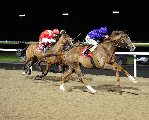 ARCHER S UP and Leigh Roche win the www dundalkstadium com Maiden
