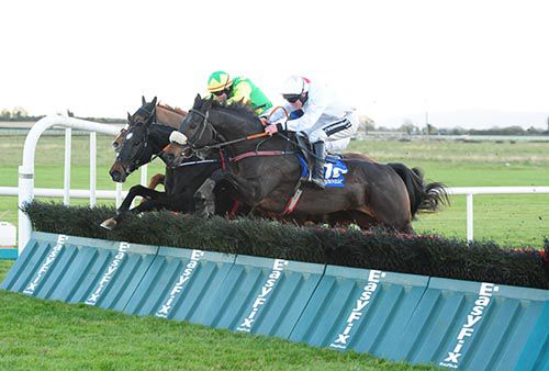 Tintown Robin jumps the last under Phillip Enright